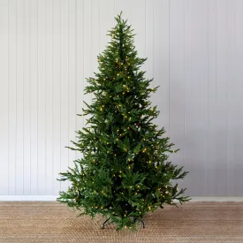 7.5 Ft Balsam Fir Green Tree - 570 Led