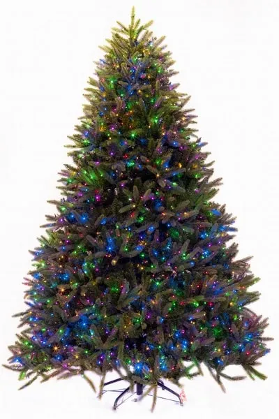 8' Ultra-Lit LED 3MM Chester Fir Dual Lit