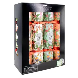 Celebration Crackers: Koala Australiana Tray of 8